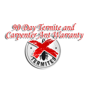 90 day termite