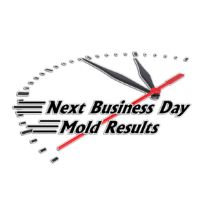 mold results