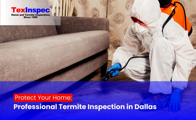 termite inspection in Dallas