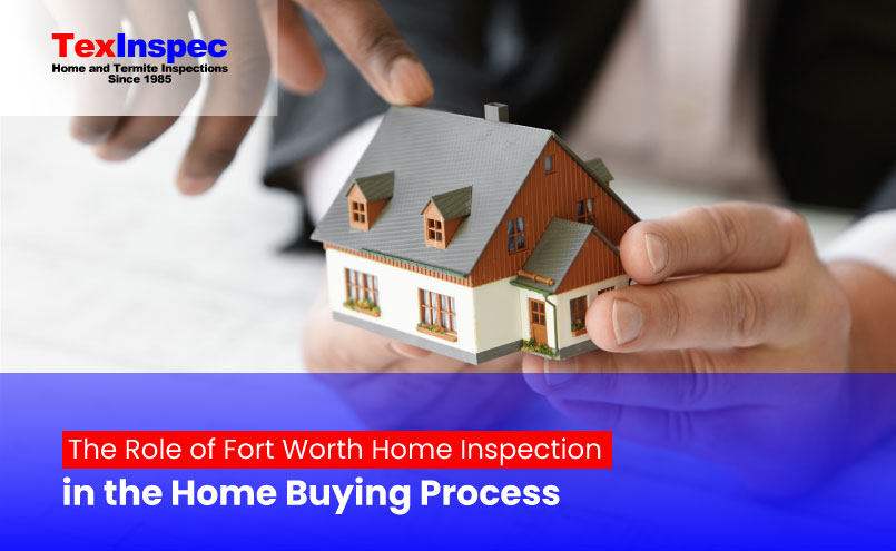 termite inspection in Dallas