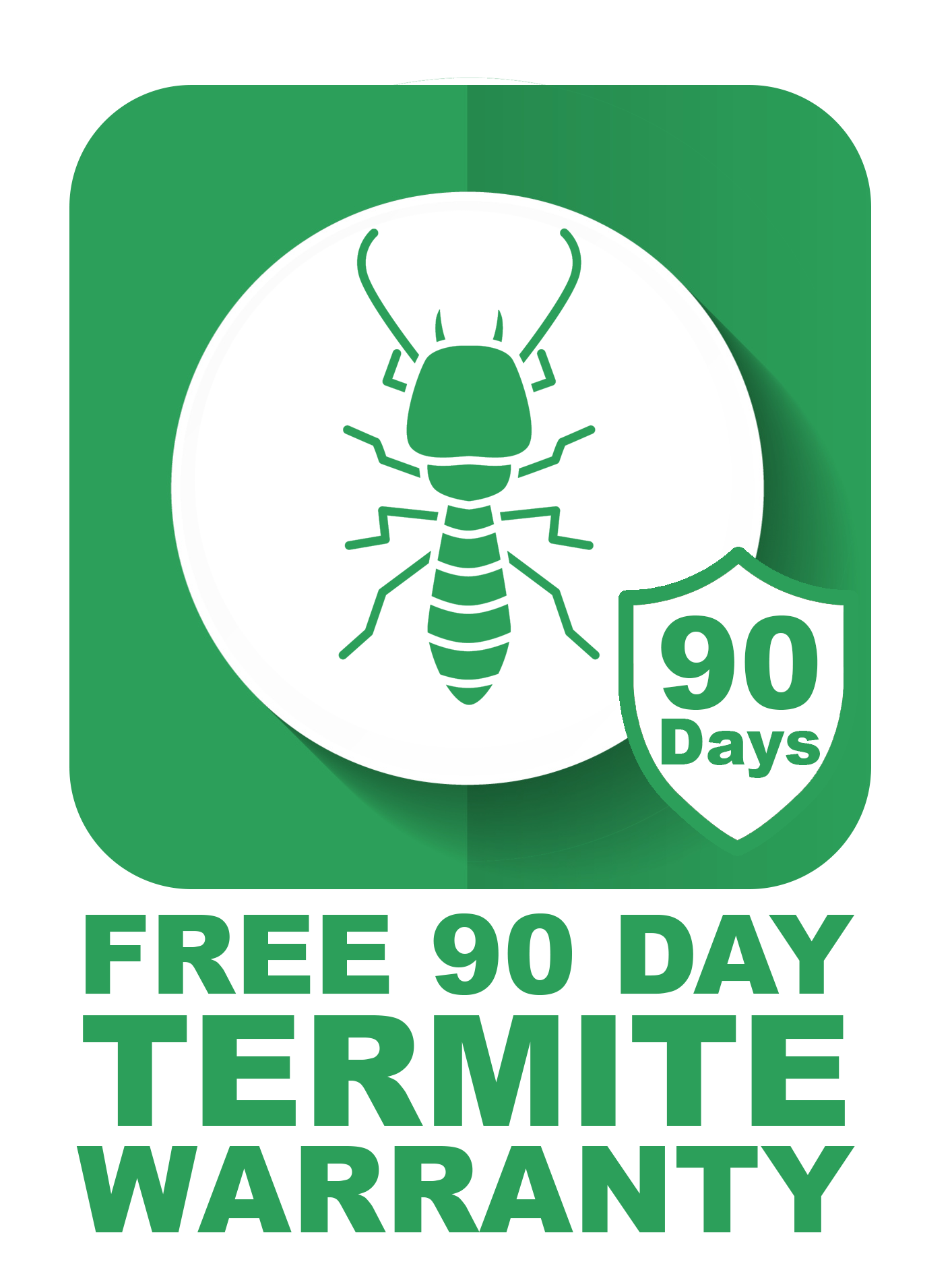 Termite