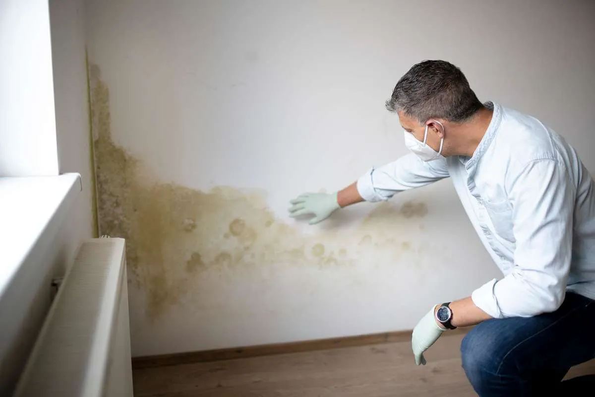 residential home inspection